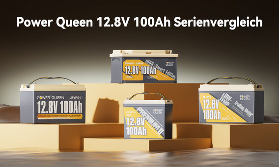 Power Queen 12,8V 100Ah Serienvergleich