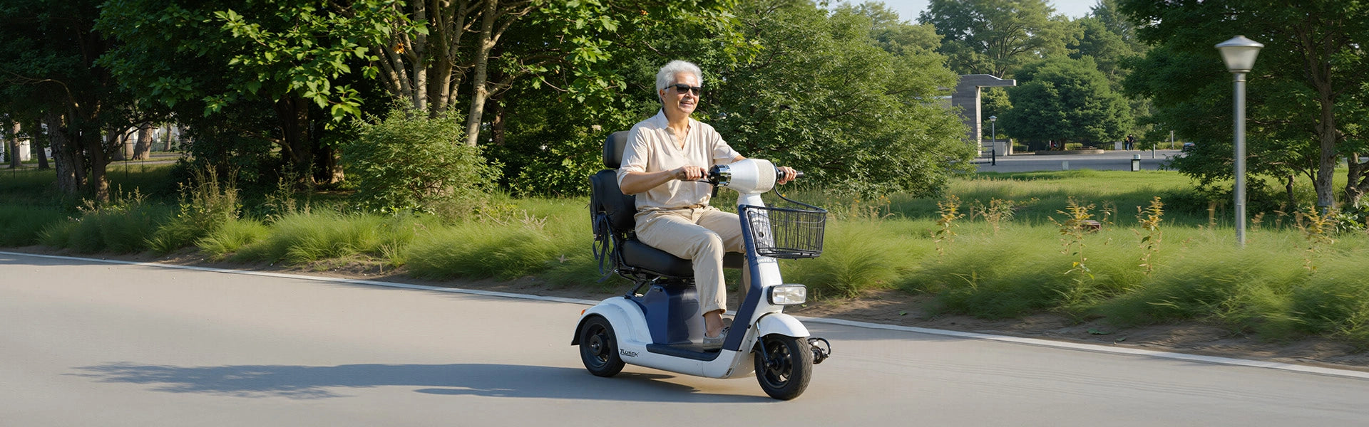 Batterie für Senioren-Elektromobil & Elektrorollstuhl