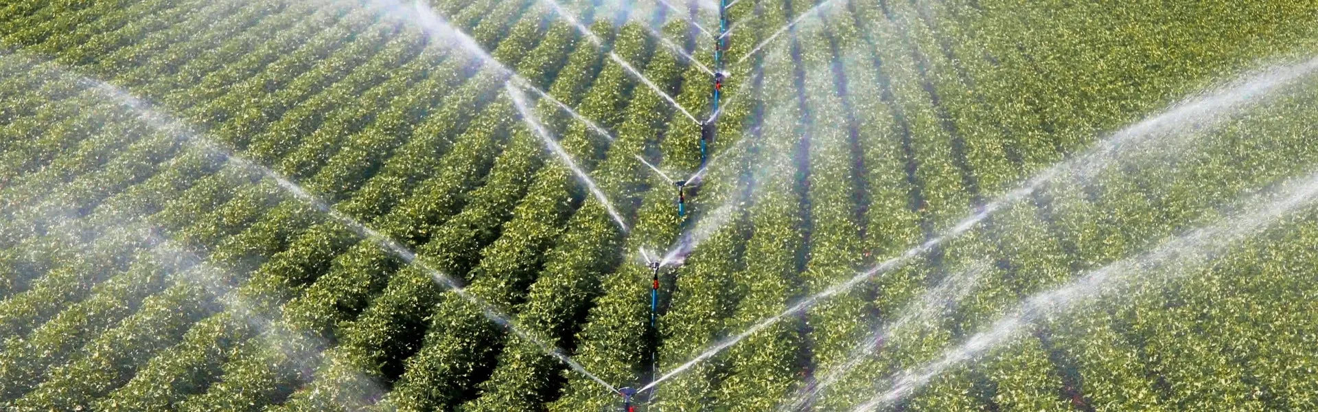 Farm-Stromversorgung