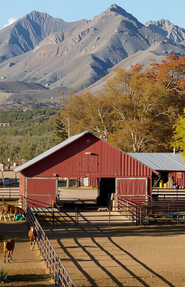 Recommend Collection_Image