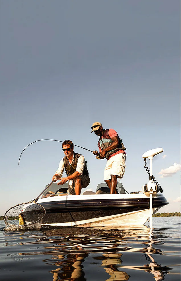 Recommend Collection_Image