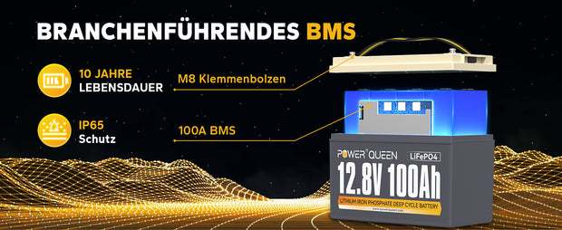 100A BMS, M8 Schrauben, 10 Kg Lithium Batterie