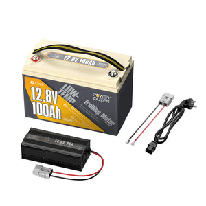 Power Queen LiFePO4 12V 100Ah low temperature electric motor battery