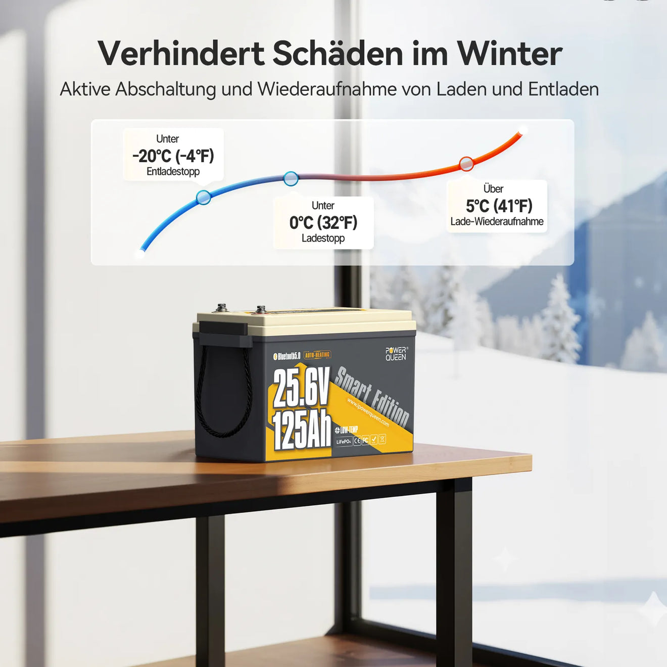 Power Queen 24V 125Ah Smart LiFePO4 Bootsbatterie mit Selbstheizung