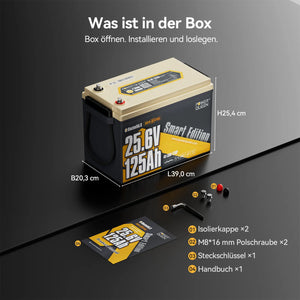 Power Queen 24V 125Ah Smart LiFePO4 Bootsbatterie mit Selbstheizung
