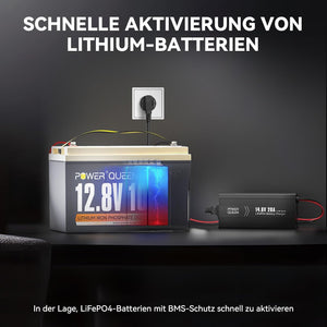 Power Queen 14,6V 20A LiFePO4 Ladegerät für 12V LiFePO4-Batterie