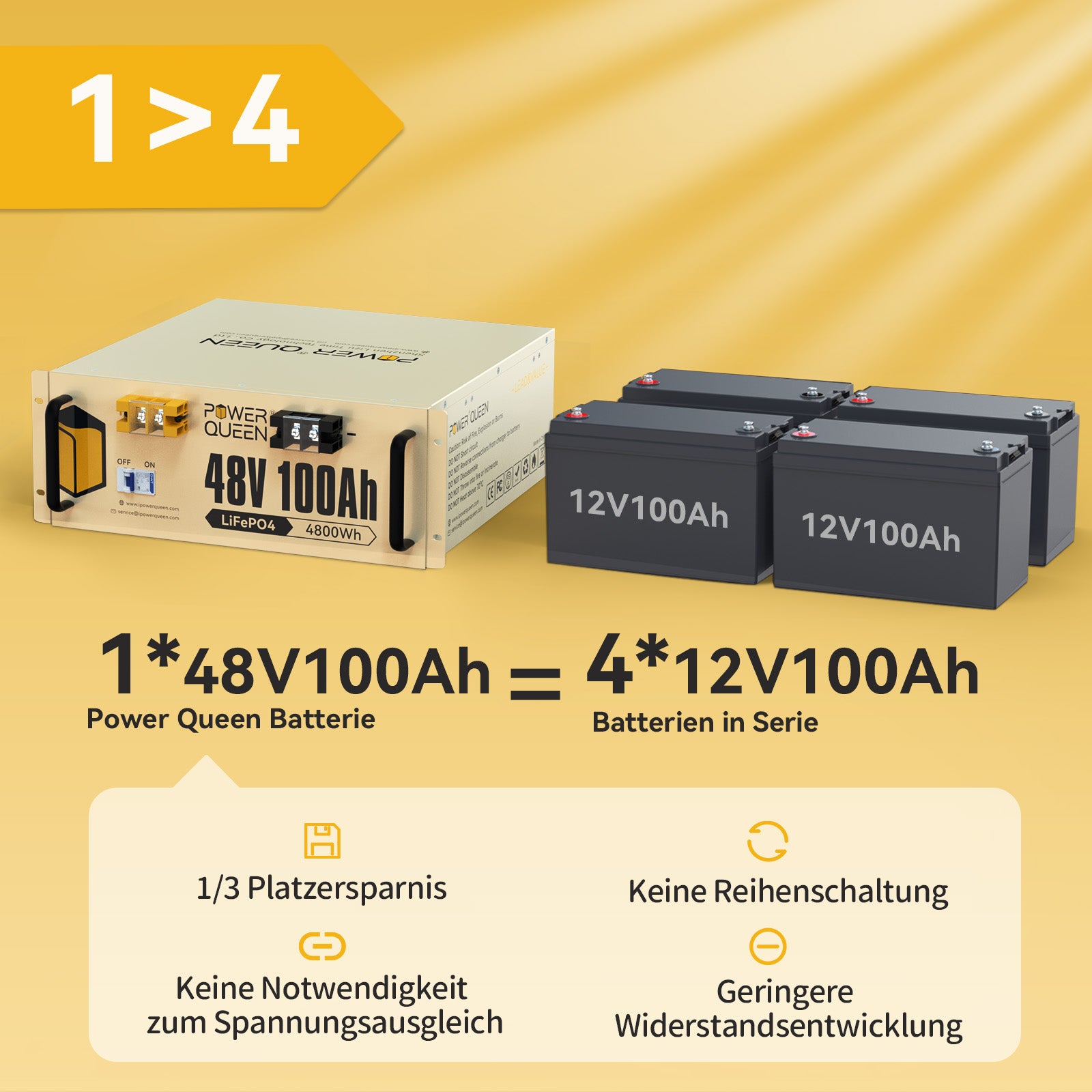 【0% Mwst.】Power Queen 48V 100Ah 4HE Serverrack LiFePO4 Batterie mit 100A BMS