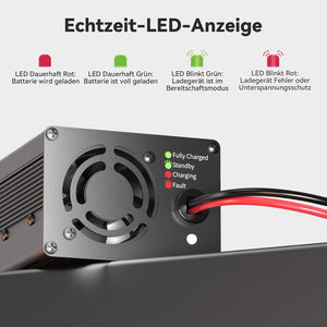 Power Queen 14,6V 20A LiFePO4 Ladegerät für 12V LiFePO4-Batterie