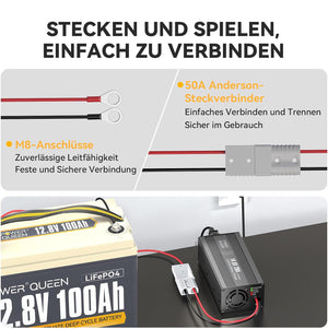 Power Queen 14,6V 20A LiFePO4 Ladegerät für 12V LiFePO4-Batterie