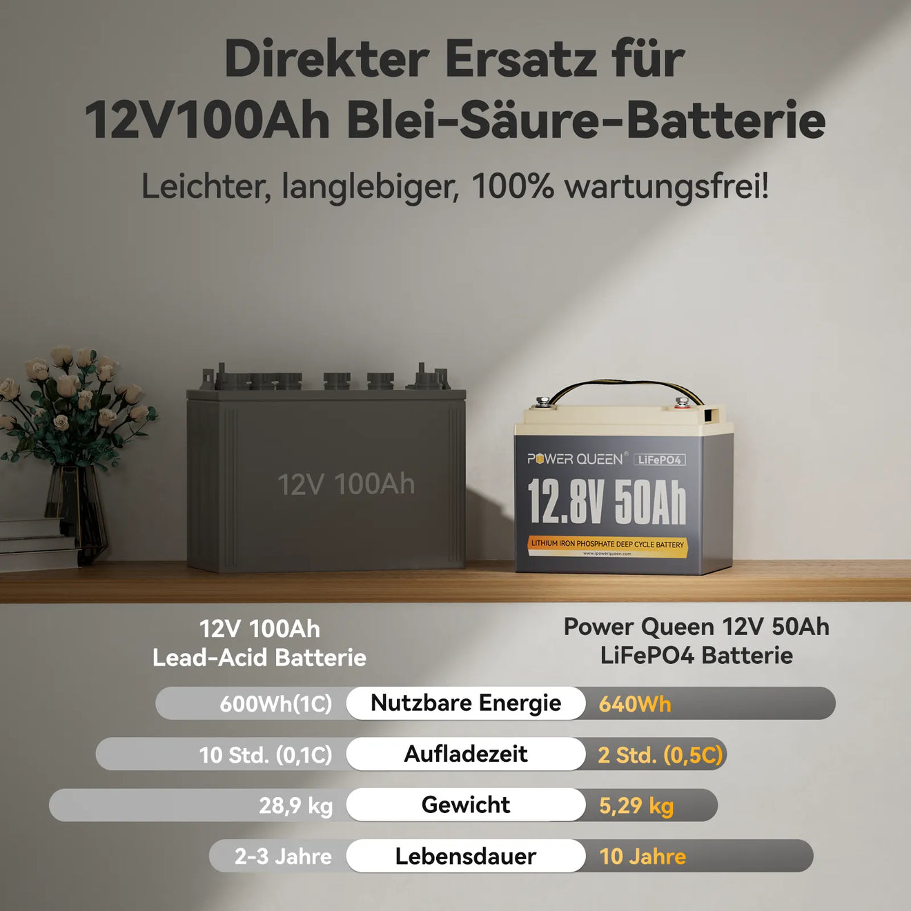Batteria Power Queen 12V 50Ah LiFePO4, BMS 50A integrato