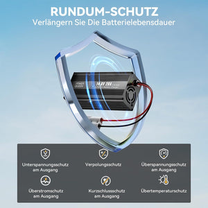 Power Queen 14,6V 20A LiFePO4 Ladegerät für 12V LiFePO4-Batterie