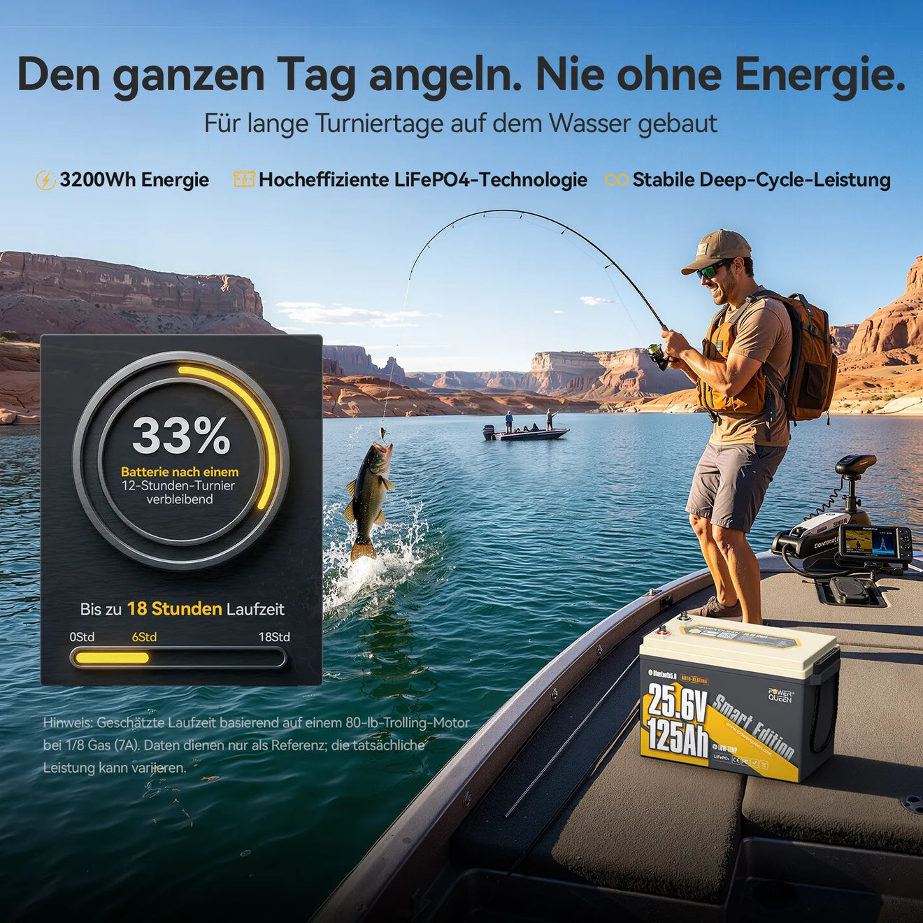 Power Queen 24V 125Ah Smart LiFePO4 Bootsbatterie mit Selbstheizung