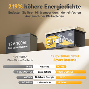 (0% VAT) Power Queen LiFePO4 12V 100Ah 190H Smart Motorhome Battery
