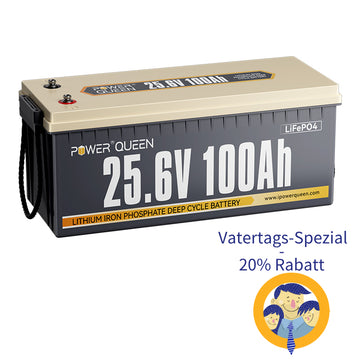 Batería LiFePO4 autocalentable Power Queen de 12,8 V y 200 Ah, BMS integrado de 100 A