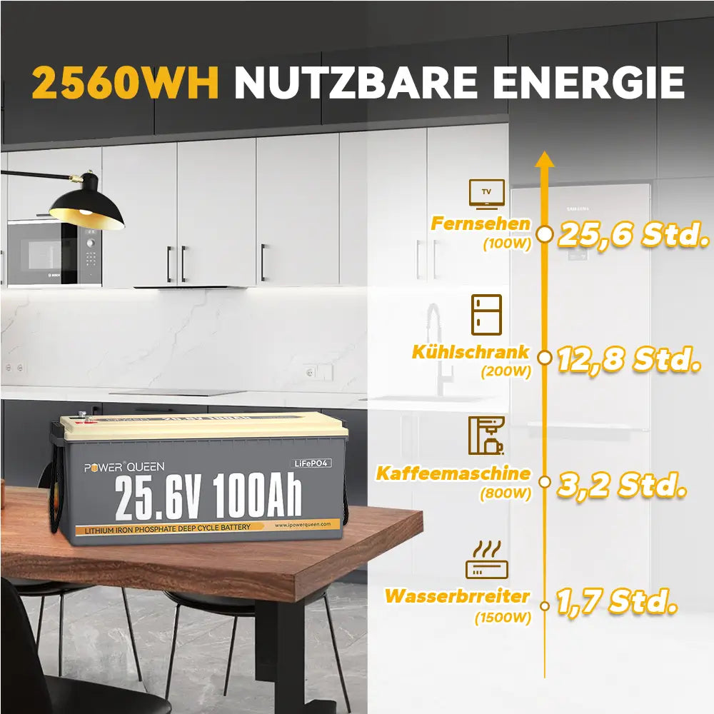 Power Queen 24V 100Ah LifePo4 batteria, costruita -in 100a bms
