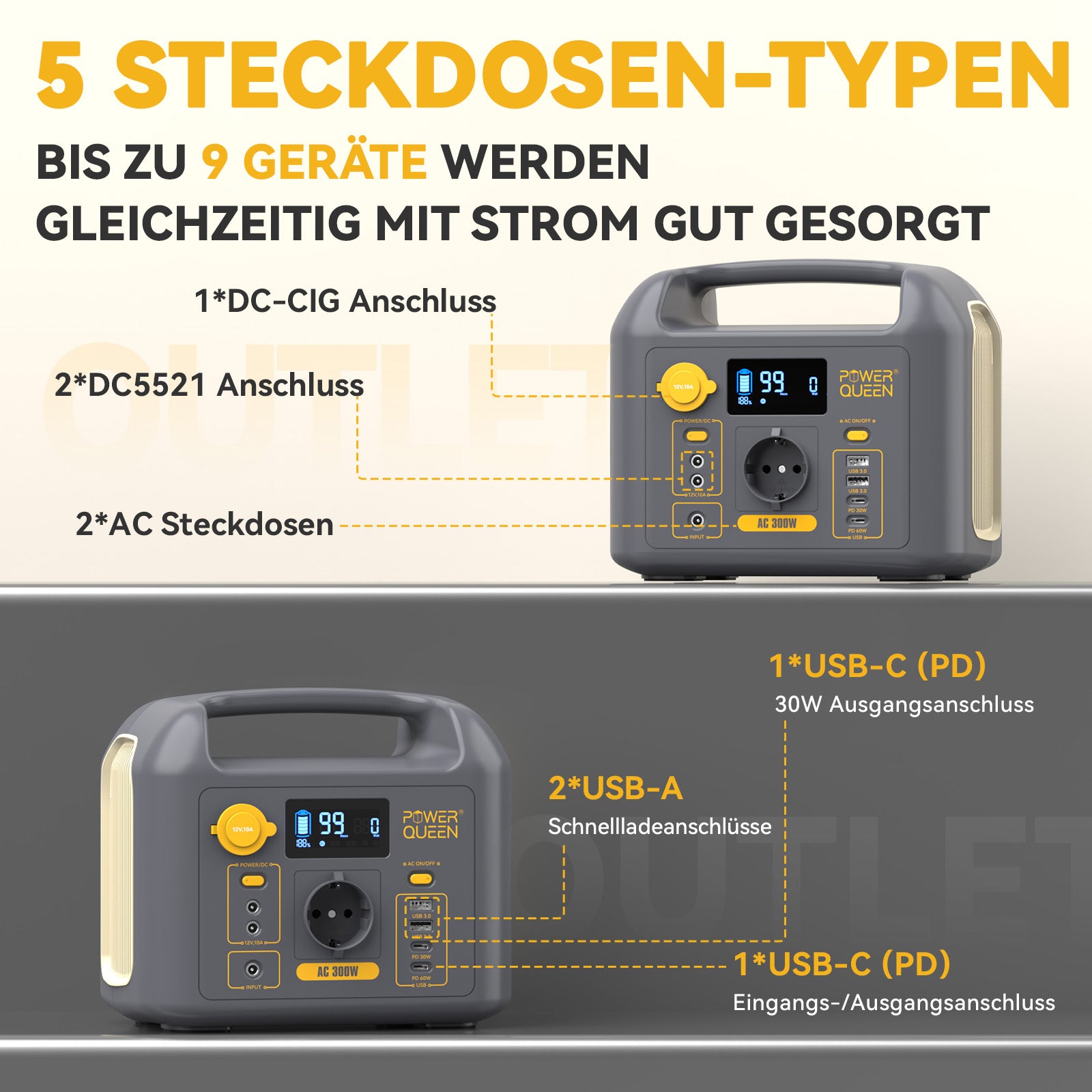 Power Queen Tragbare Powerstation, 300Wh Solargenerator mit LiFePO4 Akku