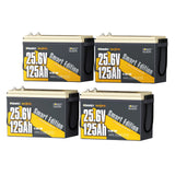 Power Queen 24V 125Ah Smart LiFePO4 Bootsbatterie mit Selbstheizung