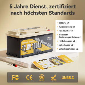 (0% VAT) Power Queen LiFePO4 12V 100Ah 190H Smart Motorhome Battery