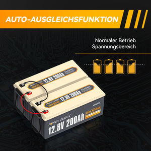 Batería LiFePO4 autocalentable Power Queen de 12,8 V y 200 Ah, BMS integrado de 100 A