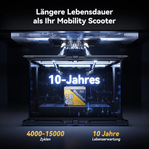 Power Queen LiFePO4 12V 45Ah Gruppe U1 Batterie für Senioren-Elektromobil