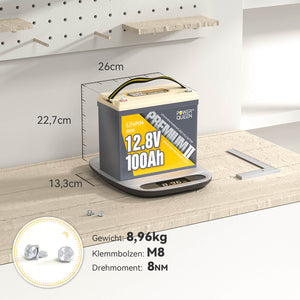 Batteria Power Queen Mini LiFePO4 12V 100Ah con caricabatterie LiFePO4 14,6V 20A