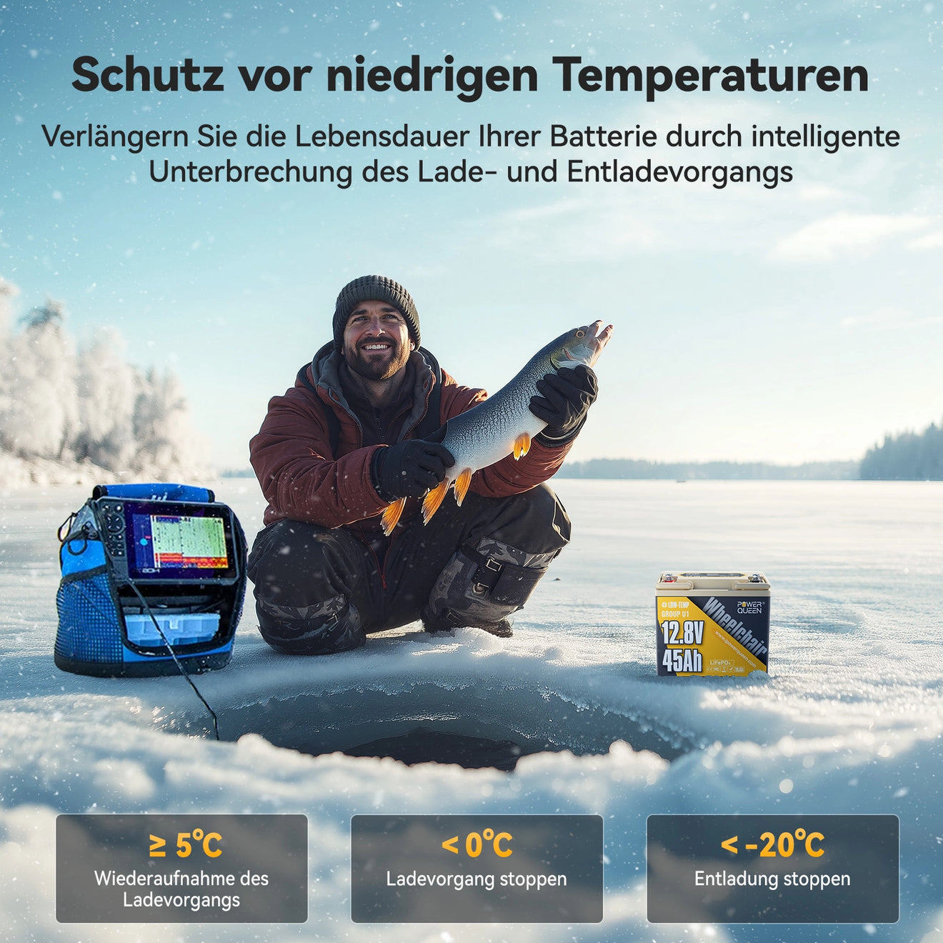 Power Queen LiFePO4 12V 45Ah Gruppe U1 Batterie für Senioren-Elektromobil