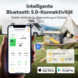 Power Queen LiFePO4 12V 100Ah Niedertemperatur Smart Elektromotor Batterie