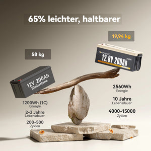 Power Queen 12V 200Ah LiFePO4 Batterie, Eingebautes 100A BMS