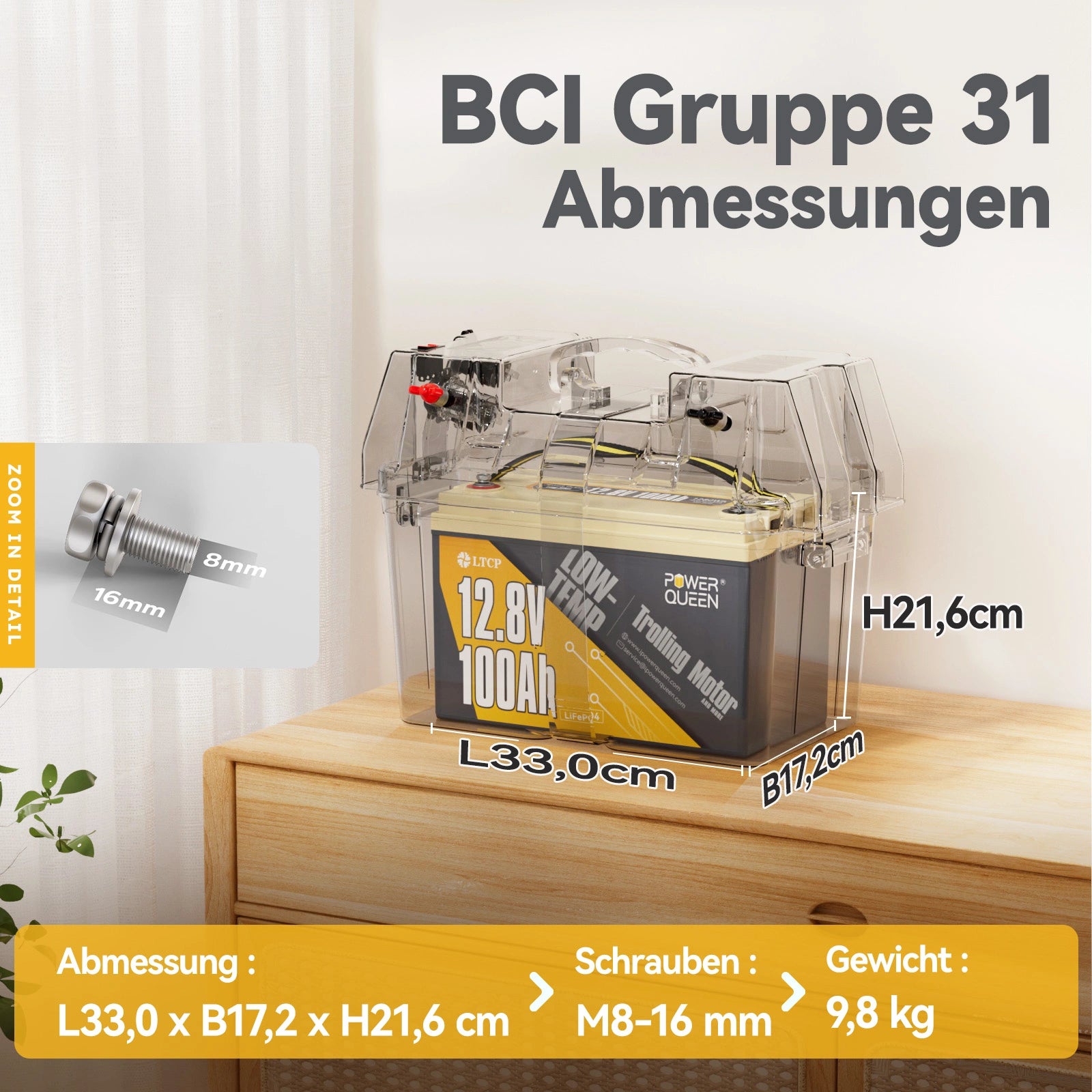 Power Queen LiFePO4 12V 100Ah lage temperatuur accu voor elektromotor