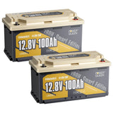 (0% VAT) Power Queen LiFePO4 12V 100Ah 190H Smart Motorhome Battery