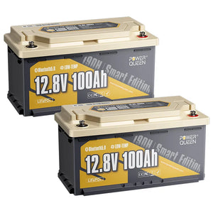(0% VAT) Power Queen LiFePO4 12V 100Ah 190H Smart Motorhome Battery