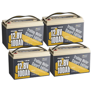 Power Queen LiFePO4 12V 100Ah Niedertemperatur Smart Elektromotor Batterie