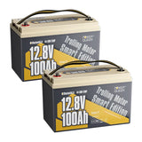 Power Queen LiFePO4 12V 100Ah Niedertemperatur Smart Elektromotor Batterie