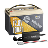 Power Queen LiFePO4 12V 100Ah Niedertemperatur Elektromotor Batterie
