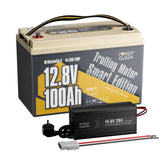 Power Queen LiFePO4 12V 100Ah Niedertemperatur Smart Elektromotor Batterie