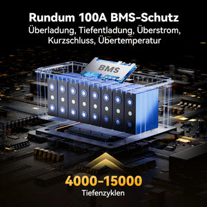 Power Queen 24V 100Ah LiFePO4 Batterie, Eingebautes 100A BMS