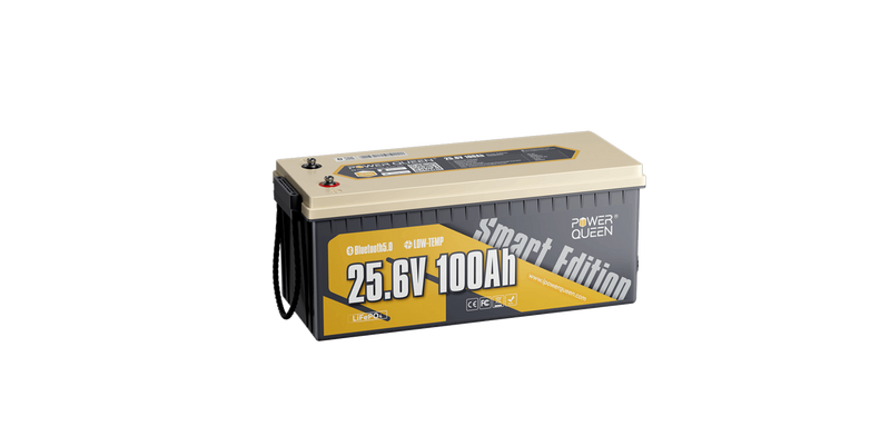 1 x 24 V 100 Ah Smart
