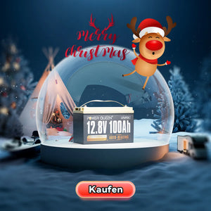 【Como nuevas】Baterías Power Queen LiFePO4 devueltas | garantía de 5 años