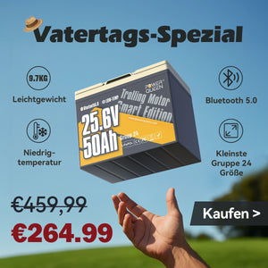 PQ-DE 24V 50Ah TM.webp__PID:24f10578-c292-42ce-a8b0-76ba4e991105