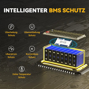 Batterie Power Queen 24V 100Ah LiFePO4, avec BMS 100A, UA 0%