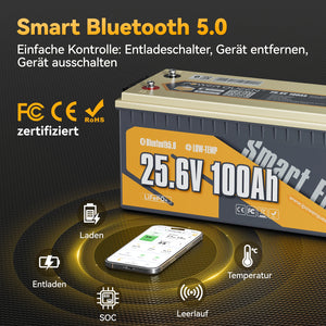 Power Queen LiFePO4 24V 100Ah Smart Solarbatterie mit Bluetooth