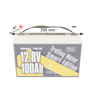 Power Queen LiFePO4 12V 100Ah Niedertemperatur Smart Elektromotor Batterie